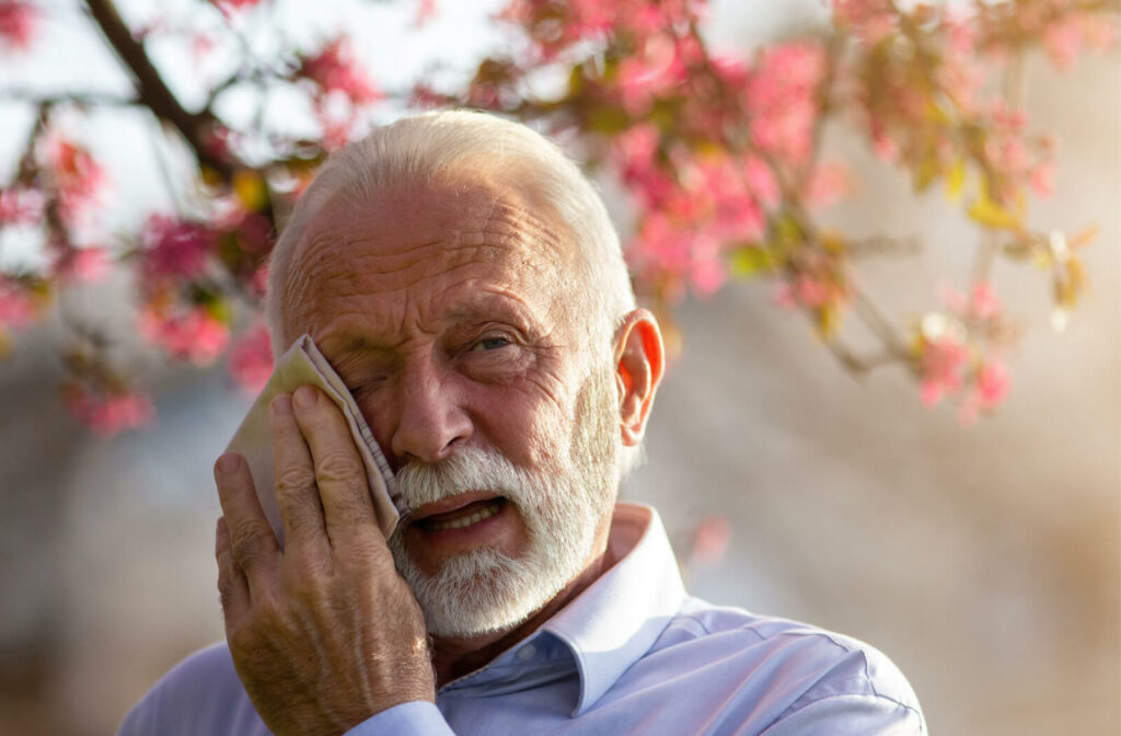 A senior man wipes his teary eyes with a tissue, allergic to pollens from the trees' flowers.